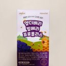 지인어린이집 | 어린이집 감기 반복… 아기 면역력 챙기기 엘더베리 프로폴리스 내돈내산 후기