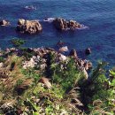 영덕 발전소 이미지