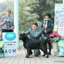 매니아클럽 이미지