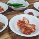 세원뼈다귀 이미지