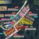 숲이야기 이미지