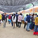 증평인삼판매장 이미지