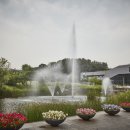 북서울꿈의숲 이미지