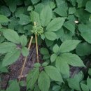 유정농장(2) 이미지