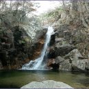 추원모차골 이미지