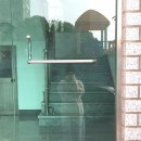 헬로그루밍 | 알려줘 제주 그만 사랑하는 법(3)