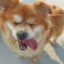 부엉이풀민박 | 2022년 열정백만스푼🔥 놀 생각 밖에 없는 나의 주말기록 ep.01