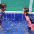 괘법한신유치원 이미지