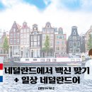 (주)더치인 이미지