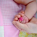 수원-0019 이미지