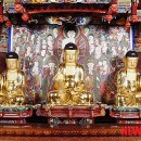 창원 성주사 목조석가여래삼불좌상 이미지