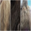 영하우스 | 올리브영 염색약 추천 제니하우스 다크브라운 염색 후기