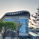 [가락시장] 킹크랩 시세 및 대풍수산 찜포장 후기