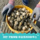마검포레져하우스 | 태안 갯벌체험장은 태안 갯벌체험 펜션 마검포레져하우스