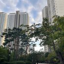 108동 앞 횡단보도 이미지