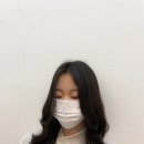 심스헤어 이미지