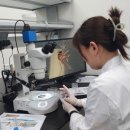 내포 충남보건환경연구원 이미지