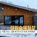 동산할인마트 | 아이 함께한 화천 산천어 축제 숙박 추천 강원숲 체험장 소쩍새 솔직 후기