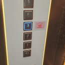 평택미용실 안중헤드스파 송담모발클리닉 솔직후기