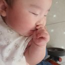 동해물약국 | 4개월미만아기 열날때 동해삼척강릉 응급실 강원영동 소아과 38.7도 고열