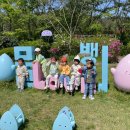 화순천재어린이집 이미지