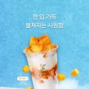 하이오커피강동