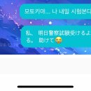 내모토끼