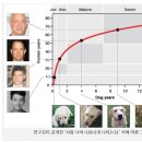마음을 읽어주는 마음동물병원 이미지