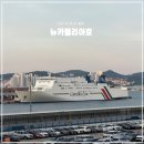 뉴여행시작 | 부산 후쿠오카 배편 타고 떠난 후쿠오카 여행 뉴카멜리아호 후기