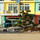 북천초등학교 이미지