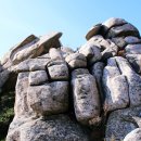 보리상사 이미지