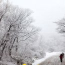 서귀포2청사 이미지