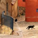 해뜨는집 이미지