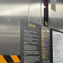 강원도 호캉스 ㅣ 혼자 홈마리나 속초 호텔 루프탑 수영장부터 조식까지