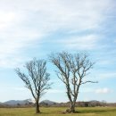 휴마취통증의학과의원 이미지