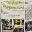 나 홀로 이탈리아 여행 준비: 여행책, 비행기 예약, 투어 추천 그 외 팁