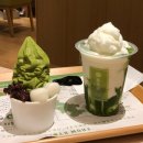 스마일카정비 | 엄마랑 여름 오사카 여행 1일차 (난바이난카 라피트, 코코호텔 센니치마에, 한큐맨즈 캐피탈, 맛차...