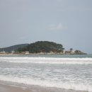 H9135 이미지
