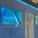 서남내과의원 | 결혼준비9) 임신준비 전 가다실 예방접종하기/ 서울 영등포 가다실 45만원 최저가 접종!!/ 자궁경부암...