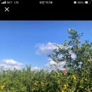 귀덕농장 이미지