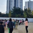 강릉초등학교 이미지