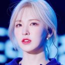 설하헤어 이미지