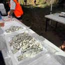 스카이 컴퍼니 | 24K 총정리 &amp; 후기 (트린이 기준,, 준비물, 기록, 부스, 샤워장, 굿러너컴퍼니 스카이레이스 후기)