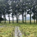원랜드패션몰(2133) | 제주도 한달살기 / 제주 동쪽 카페 블루보틀, 조천읍 도민 맛집 낭뜰에쉼팡