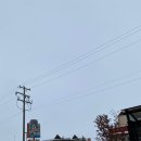 레드디어 | 레드디어 도넛 맛집 / 방문후기 #도넛 밀 Red Deer