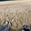 지비 - 중구 국채보상로 586 | 지비