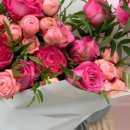 예스플리즈 이미지