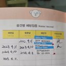 힐링페츠동물병원 네이버블로그