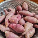 종순유통