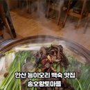 송호황토마을1